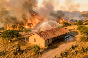 wildfire
