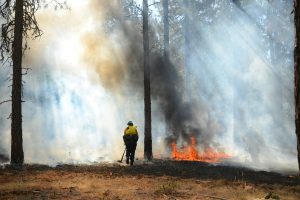 wildfire
