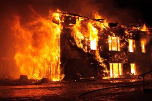 commercial wildfire