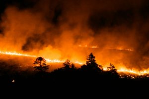 wildfire
